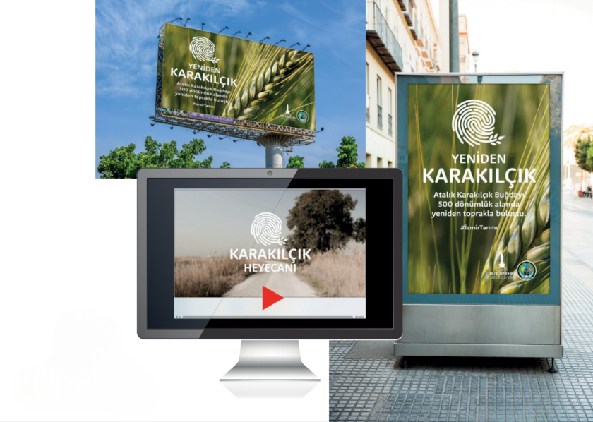 Marka Yaratma ve Marka Danışmanlığı